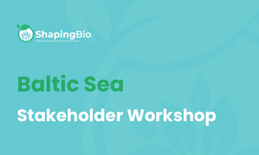 Baltic Sea stakeholder workshop
