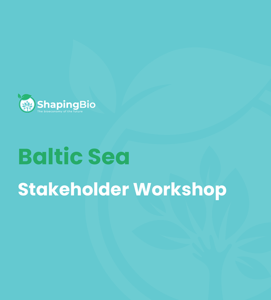 Baltic Sea stakeholder workshop 