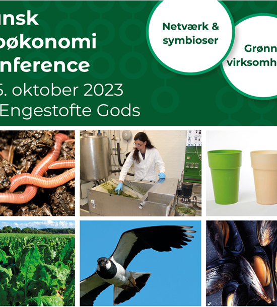 Symbiosis workshop at the Danish Bioeconomy Conference
