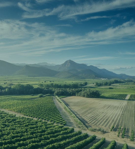 Southern Europe – Well-positioned to Contribute to EU Goals