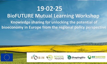 Unlocking the Potential of Bioeconomy in Europe