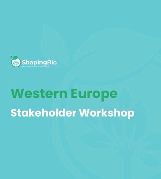 Western Europe stakeholder workshop 