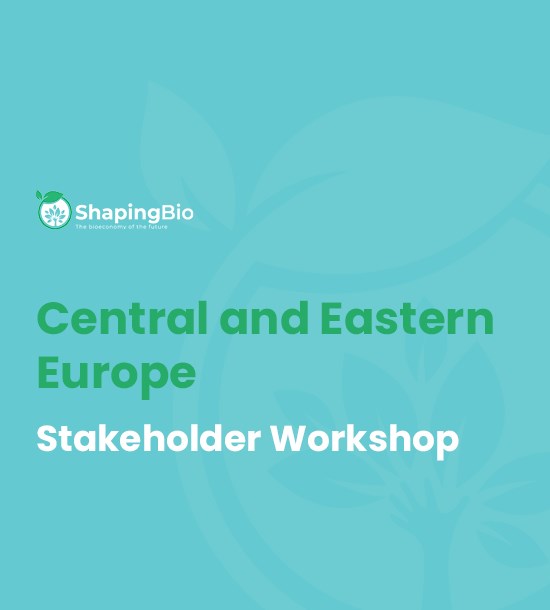 Central and Eastern Europe  stakeholder workshop 