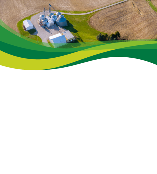 Bridging the Funding Gap: Scaling Innovations in Circular Bioeconomy