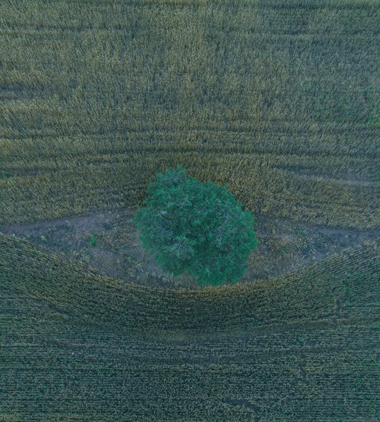 Central and Eastern Macro-Region – a Way Forward with Targeted Investments and Strategic Policymaking