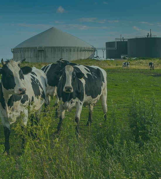 Report on Europe's Bioeconomy: A Strategic Imperative for Sustainable Growth