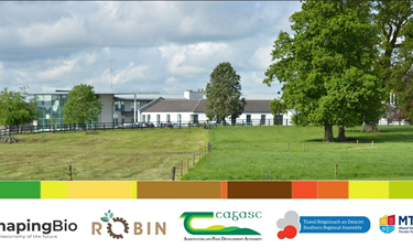 Unlocking Ireland’s Bioeconomy Potential: Policy Insights and Practical Tools for Regional Development