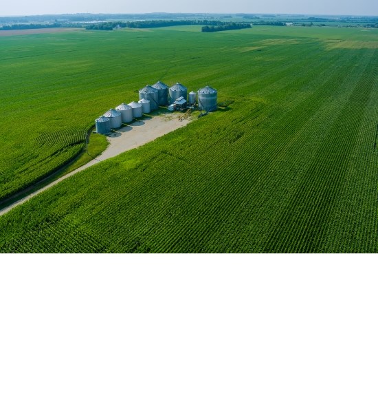 New CORDIS article highlights ShapingBio’s role in advancing the bioeconomy