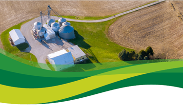 Bridging the Funding Gap: Scaling Innovations in Circular Bioeconomy