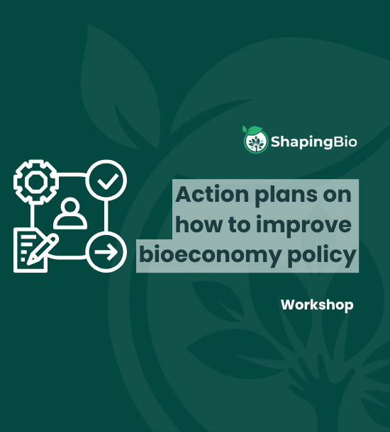 ShapingBio workshop: Action plans on how to improve bioeconomy policy