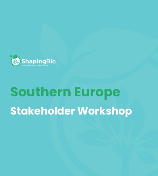 Southern Europe stakeholder workshop 