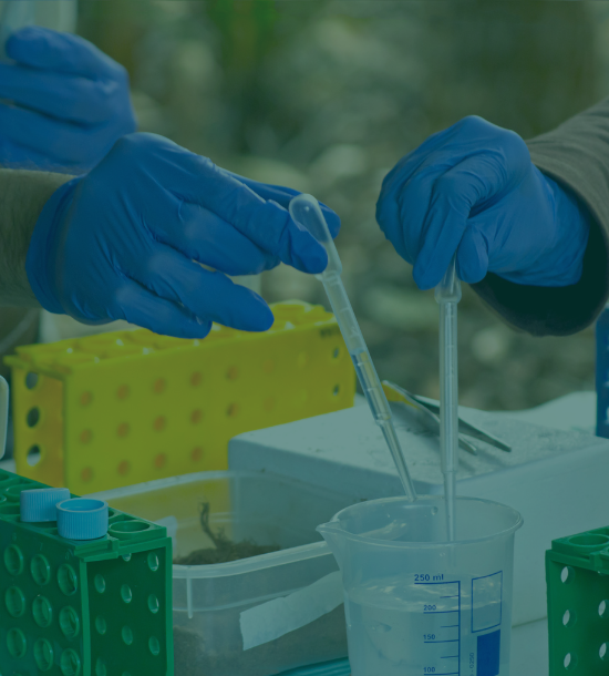 Fostering market development, standards, and demand-side policies for bio-based products